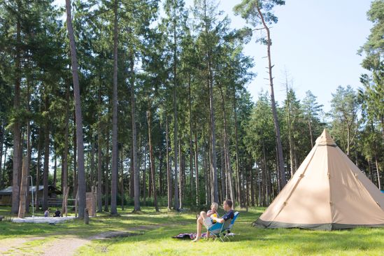 Campsite Torentjeshoek photo 3