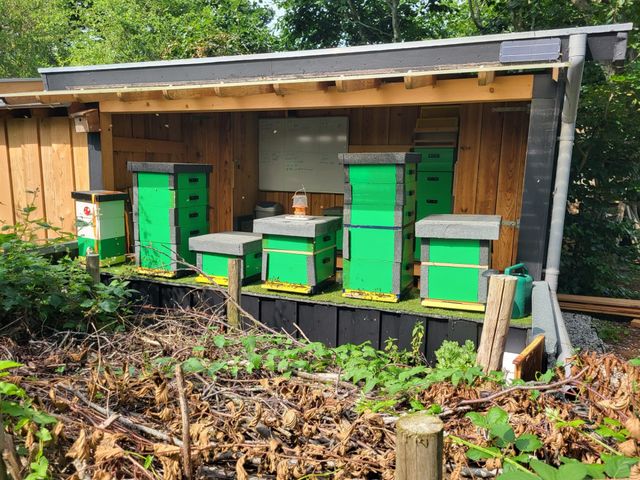 Bijenstal op Landgoed Bredius in Woerden met meerdere bijenkasten, omringd door groen. Hier leren bezoekers en imkers meer over bijen, biodiversiteit en honingproductie.