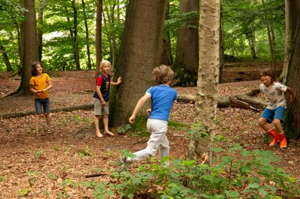 Spelende kinderen in de bossen