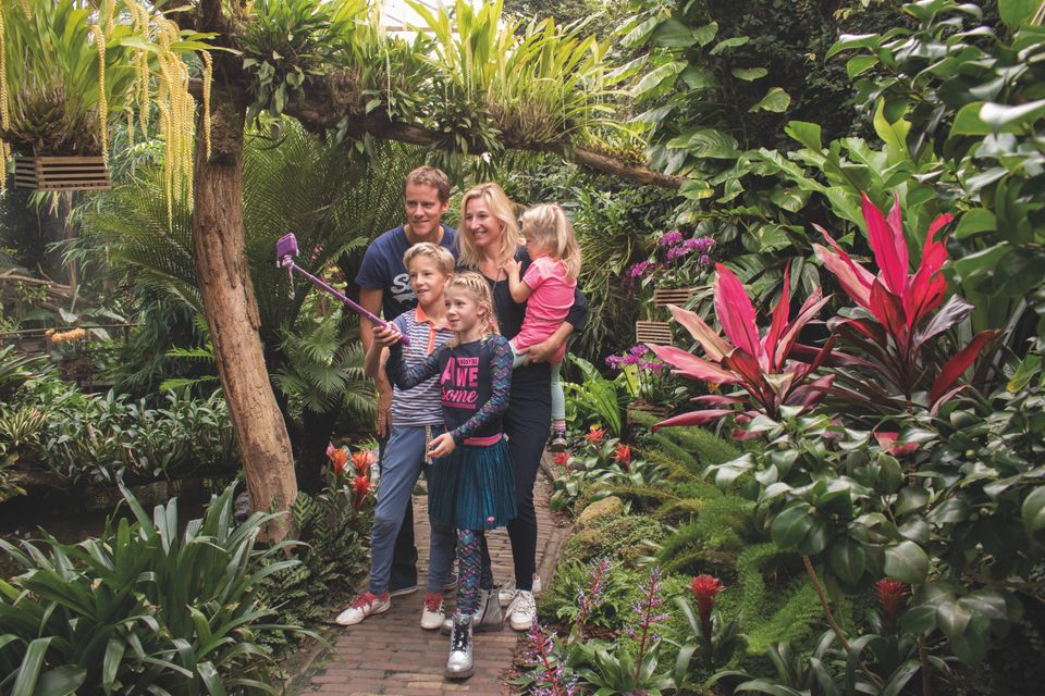 De Orchideeën Hoeve