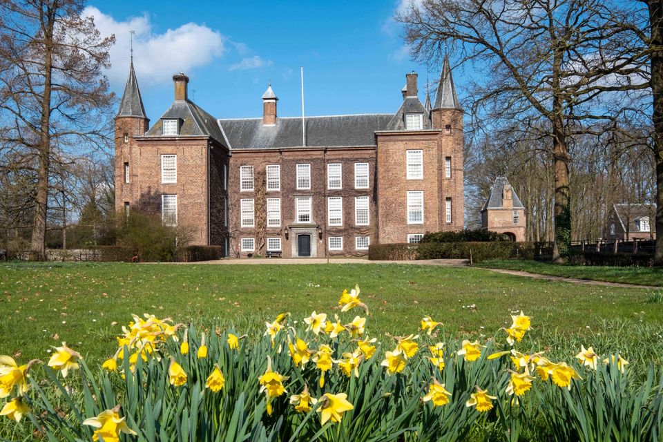 aangezicht van Slot Zuylen met bloeiende narcissen op de voorgrond