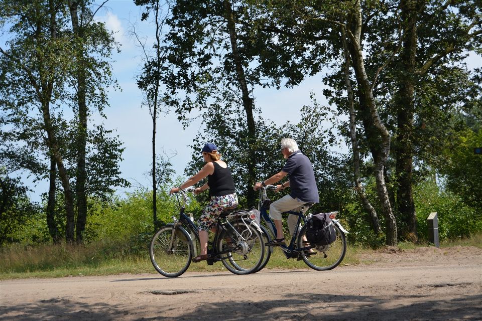In de groene omgeving van de  Kempen