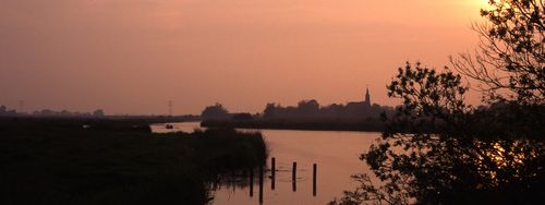 Midzomer in de Eilandspolder