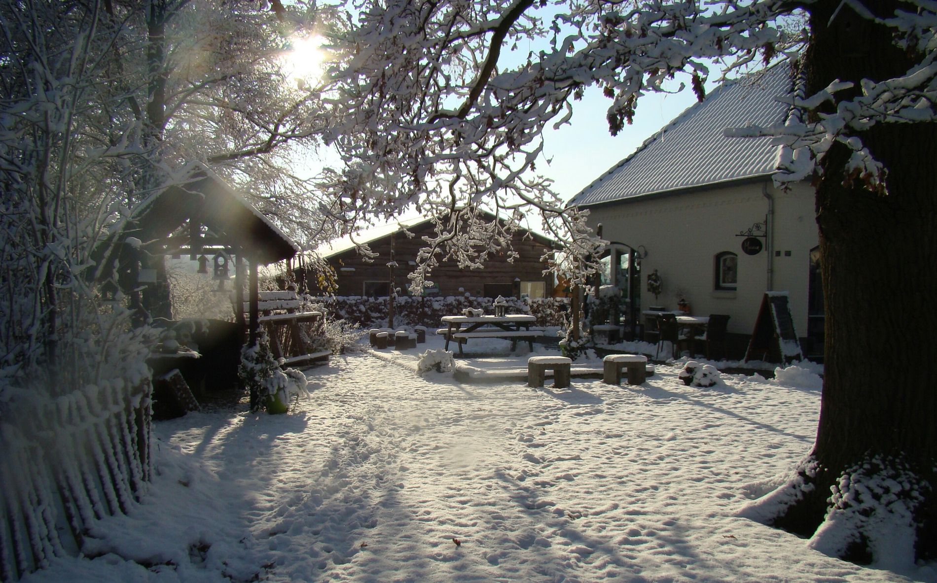 Toon Kortoomspark - Winter