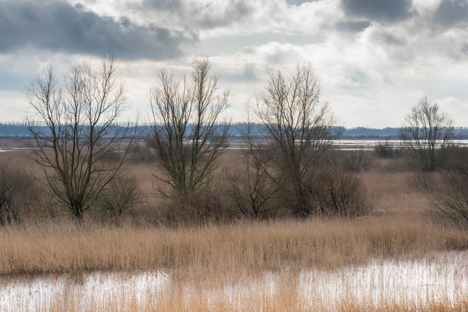 Lepelaarplassen najaar Almere