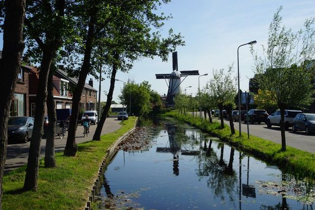 Fietsers rijden langs een rustige straat met uitzicht op een traditionele windmolen in Benthuizen, met aan weerszijden van het water groene bomen en geparkeerde auto's.