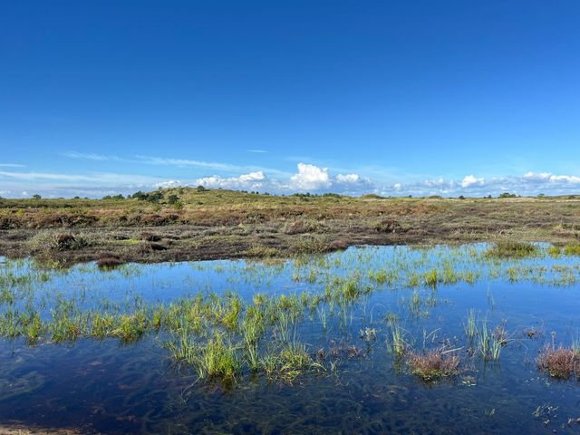 Vlieland