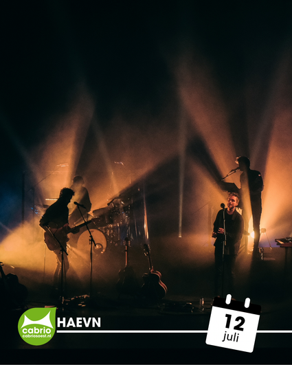 Een poster van HAEVN