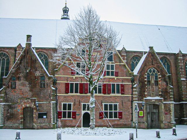 Gebouwen in de winter
