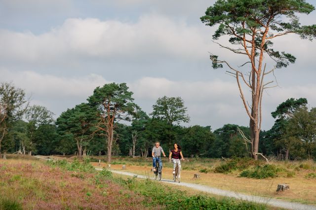 Een stel fietst in de zomer door de Drentse natuur.