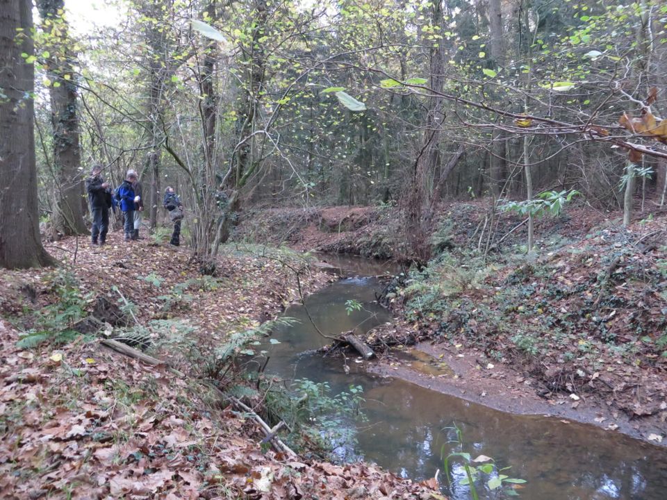IVN-KNNV Excursie | Bomen-winterkenmerken