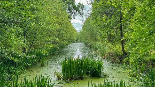 Peelbaan in de Deurnese en Mariapeel