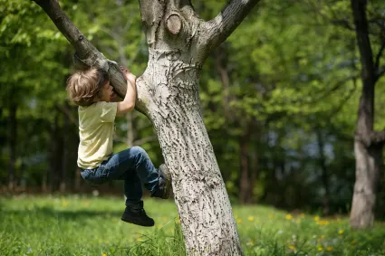Kind klimt in een boom in een groene omgeving. Boomklimmen is een voorbeeld van risicovol buitenspelen, het onderwerp van een workshop bij InBredius in Woerden.