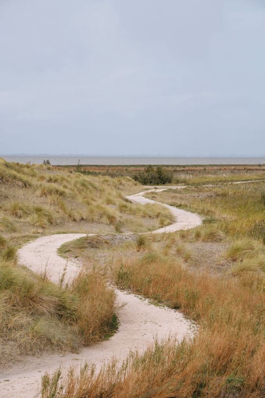 Een verlaten wandelpad door de natuur van Marker Wadden