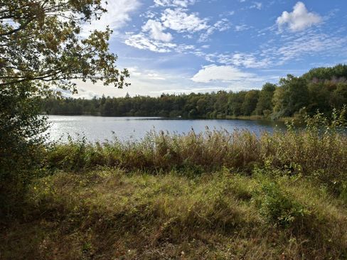 Kuinderbos | Friesland.nl