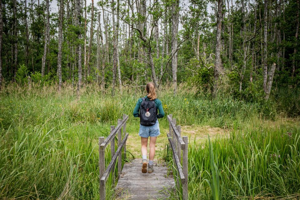 Wandelen in de natuur in Friesland