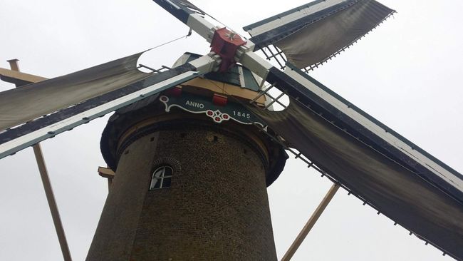 Korenmolen Simonia