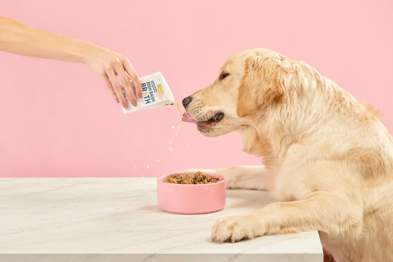 Hond die Butternut Box eet