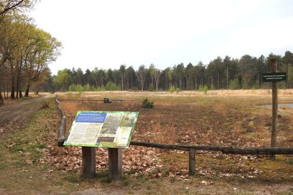 Publiekswandeling  Torrenven  Mariahout