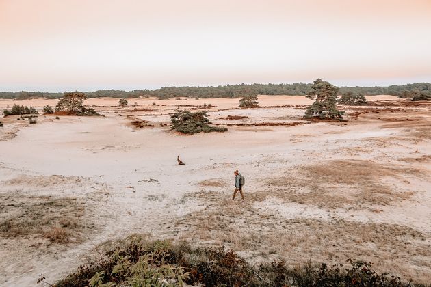 Wandelen stilteplekken natuur veluwe