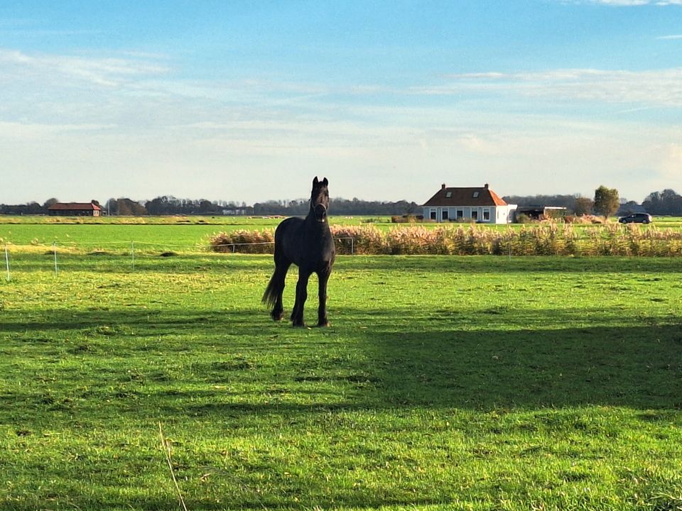 Foodroute van Franeker naar Wad