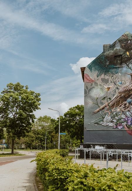 Zanglijster muurschildering Maastricht