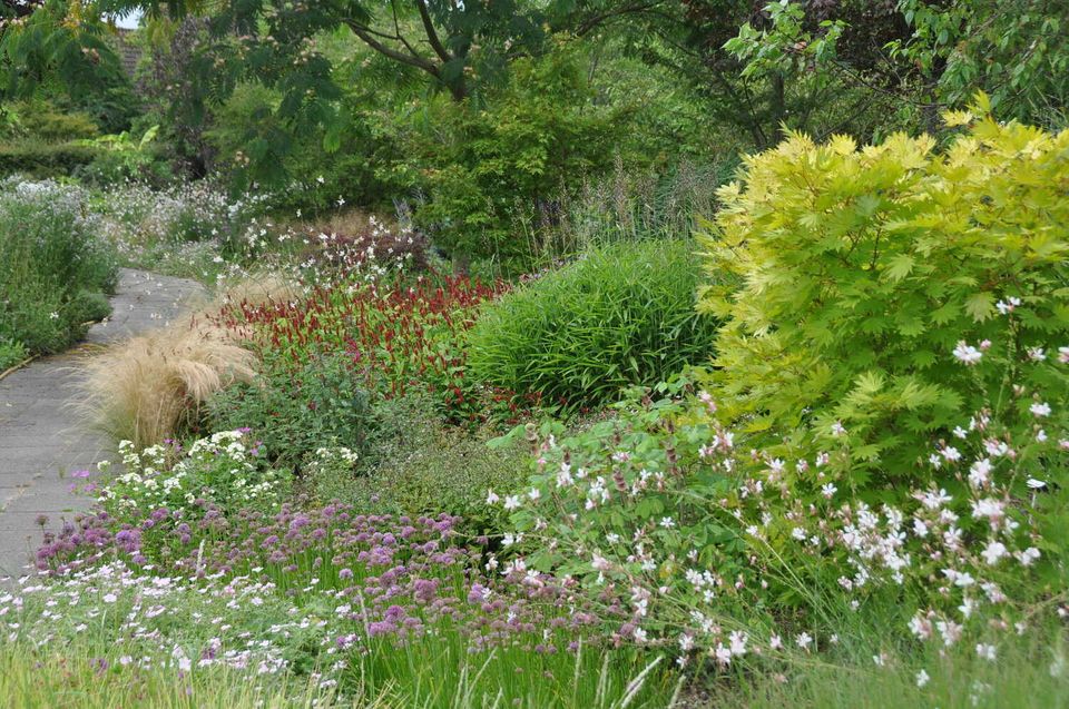 Hoogzomer in De Prunushof