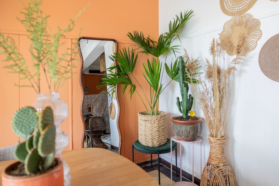Studio De Mini Kluis