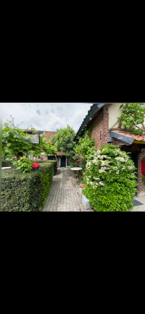 Foto: Garten