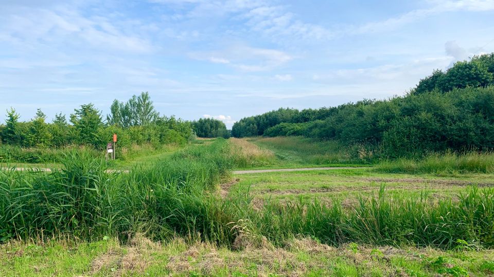 Foto van recreatiegebied Bentwoud aan de rand van Zoetermeer. Ontspannen in de natuur? Zoetermeer is de plek.