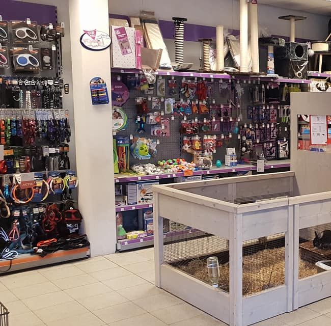 Winkel