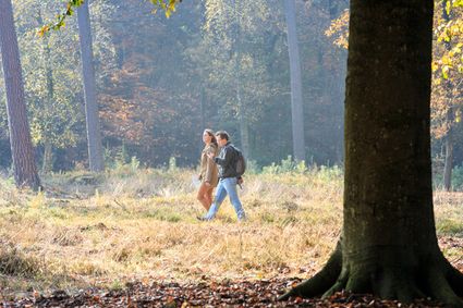 wild wijn wandelen hoge veluwe