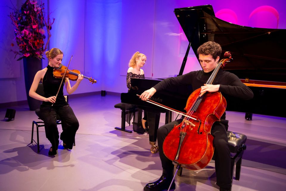 Edesche Concertzaal trio muzikanten