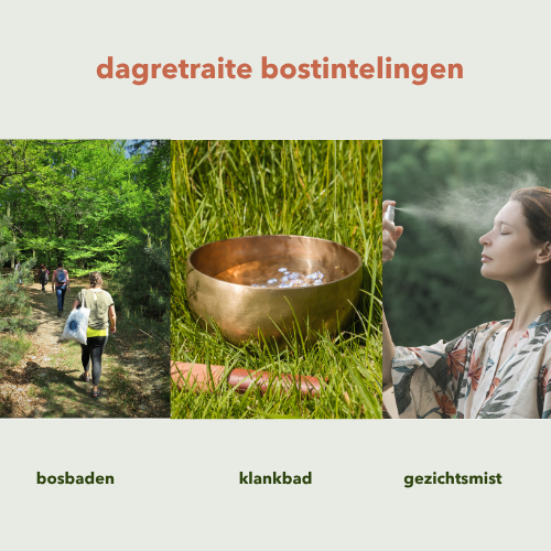 dagretraite bostintelingen