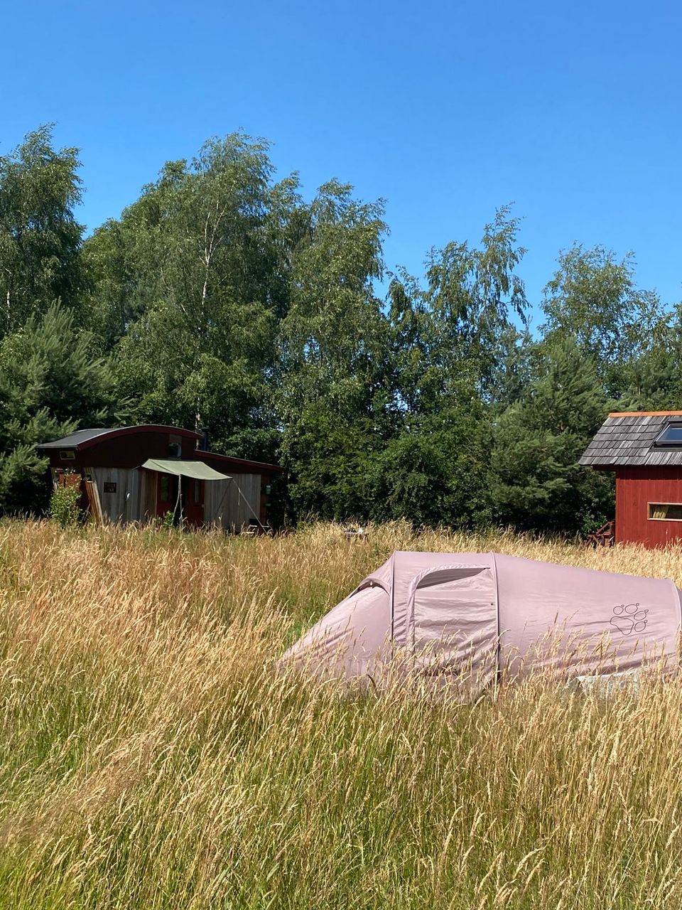 huisjes natuurcamping