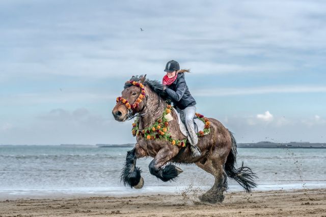 Strao-Paard-In-Ellemeet-Op-Het-Strand-Bij-Het-Water-Steigerend.