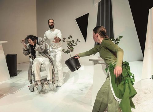 Het groene meisje 8+ MaxTak