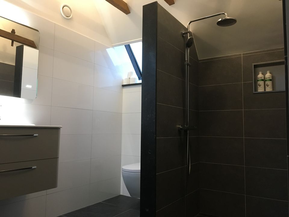 Badkamer boven met regendouche, toilet en wastafel