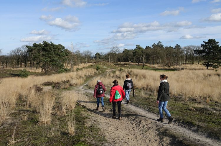 Wandel het jaar uit in Nationaal Park De Groote Peel