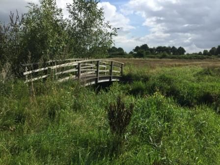 Natuur nabij 'De Winsel'