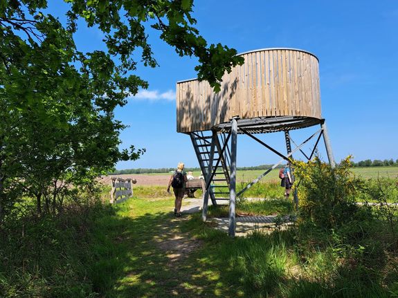 Uitkijktoren Wapse