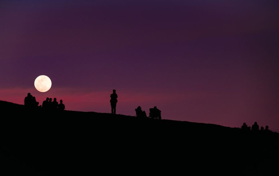 Volle maan wandeling in de Nederlandse natuurgebieden