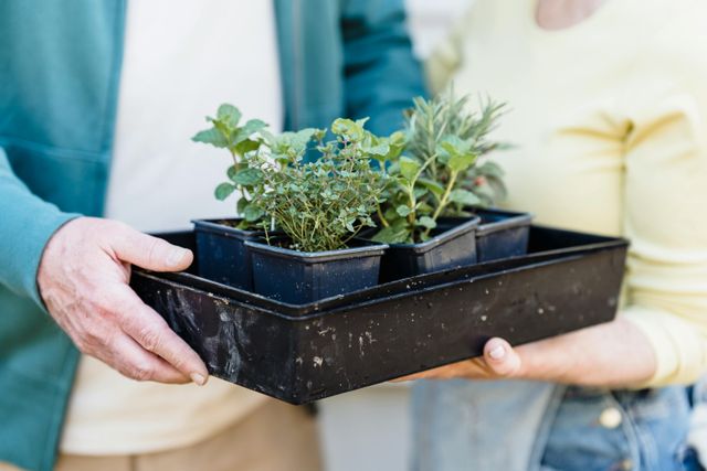 Samen een box planten beethouden