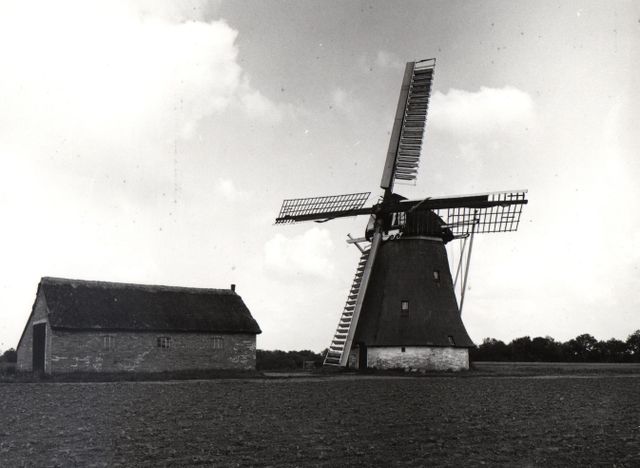 MZ12905000203