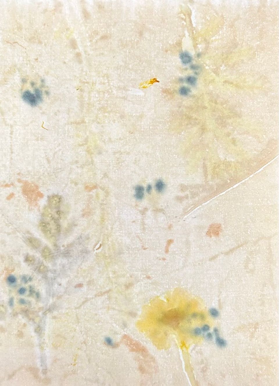 eco print