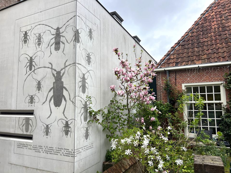 Kastelen in hartje Leeuwarden