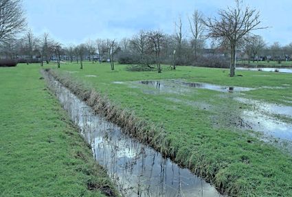 Publiekswandeling Natuurtuin De Bimd