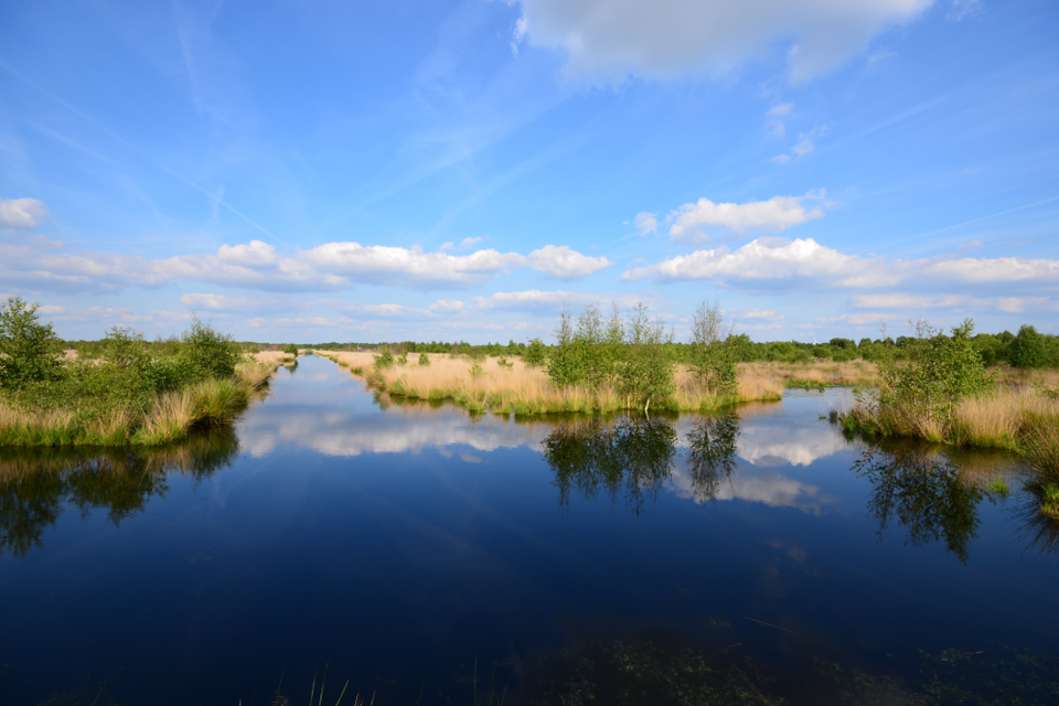 Een blauwe hemel net hier en daar een wolkje weerspiegelt in het water in natuurgebied het Bargerveen.