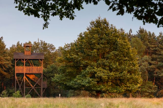 Een uitkijktoren in de natuur in Drenthe.