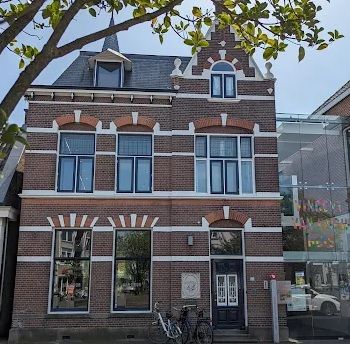 Lezing "De Franse casserole van Vincent van Gogh"